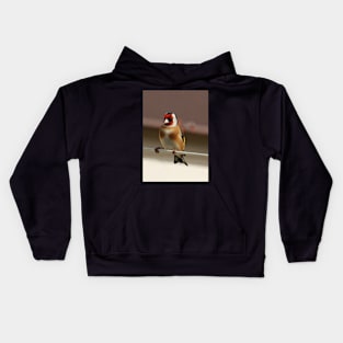 goldfinch Kids Hoodie